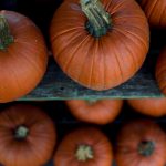 How to make fresh pumpkin puree for baking pie pumpkins