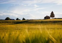 This old home is enough Farmhouse.