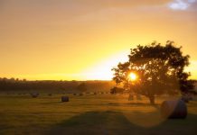 Pa. adds 44 farms to preservation program Bales of hay in a field.