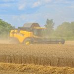 Corn, bean harvests well off avg. Combine harvester
