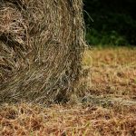 hay bales