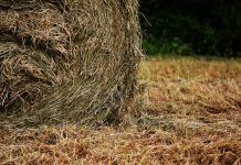 2018 perennial forage reporting date hay bales