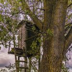 Hunter safety starts with the tree stand tree stand