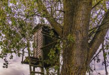 Hunter safety starts with the tree stand tree stand