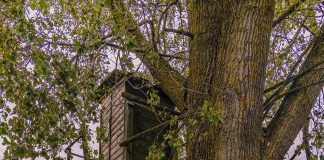 Hunter safety starts with the tree stand tree stand