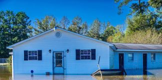 4-H members gather hurricane relief funds Jefferson County 4-H hurricane relief