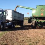 Harvest update with Robert Cope