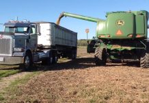 Harvest update with Robert Cope