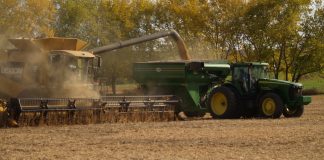 soybean harvest