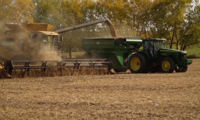 soybean harvest soybean harvest