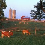 Pasture systems require a good water source Farm and pasture