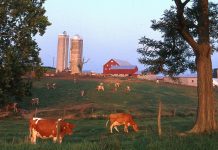 Pasture systems require a good water source Farm and pasture
