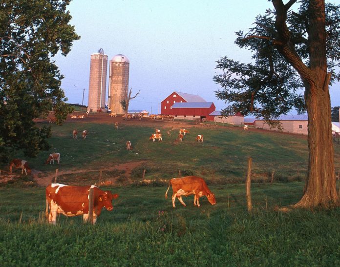 Farm and pasture Farm and pasture
