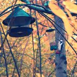 Time to fill the bird feeders for winter woodpecker