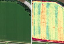 Farmer uses drones to assess plant health Aerial drone images