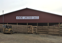 Athens auction barn opens new facility Athens Livestock Sales