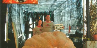 Ohio Valley Giant Pumpkin Growers set new records Giant pumpkin