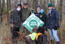 Pry family promotes conservation with forestry Pry tree farm