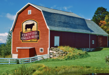 Apply now for CAB Colvin Scholarships Certified Angus Beef brand