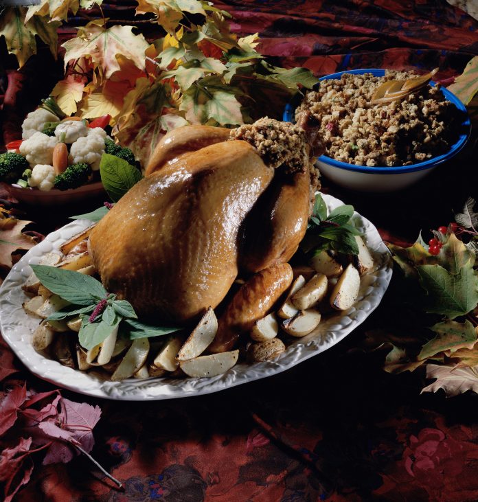 Roast turkey with potato