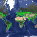 World cropland map