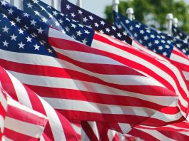 Guebert: More USDA money means less farm program reform american flag