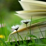 Books for the nature lovers on your list book