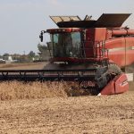 combining soybeans, farm, USDA, grain markets