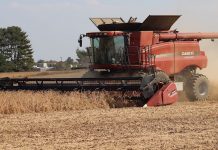 USDA to pay farmers for trade retaliation combining soybeans, farm, USDA, grain markets