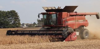 combining soybeans, farm, USDA, grain markets