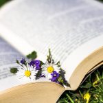 More nature books for the holidays daisy