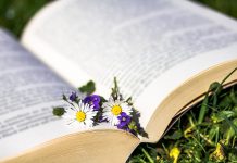 More nature books for the holidays daisy