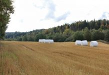 How to fund conservation plans farmland