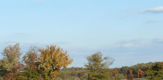 Learn about written leases from OSU Farmland