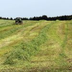 Hay barn fires are a real hazard hay field