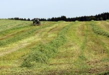 Planning for a sustainable future hay field