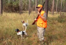 How to select the right hunting dog breed hunter
