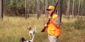 How to select the right hunting dog breed hunter