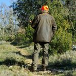 A look at the present-day status of hunting hunter