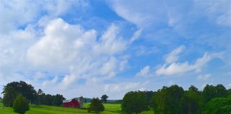 Is new ag reform a plan or an obituary? farmland