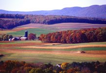 Pa. protects 2,303 acres of farmland Pennsylvania farmland