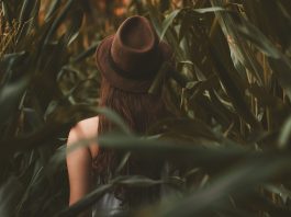 woman in a corn field