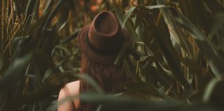 woman in a corn field