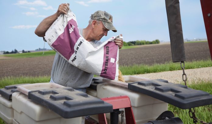 planter soybean seed