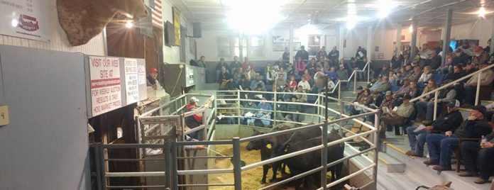 replacement female sale