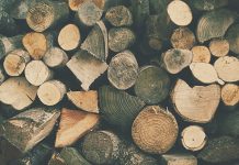 The benefits of burning firewood Firewood