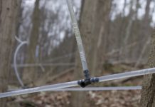 W. Va. receives grant to boost maple industry Maple sap collection