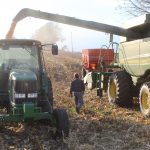 Wet spring set stage for delayed crop year Man walking between combine and grain wagon