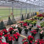 Roundup of FFA news for Dec. 7, 2017 Northwestern Greenhouse