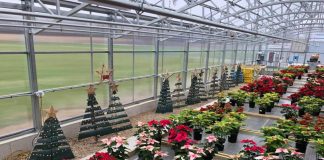 Roundup of FFA news for Dec. 7, 2017 Northwestern Greenhouse
